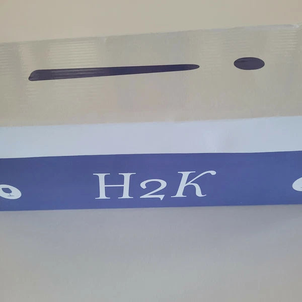 H2K Lucia Silver Fashion Jelly Slides Flip Flops Bow Sandals Bling Open Toe New